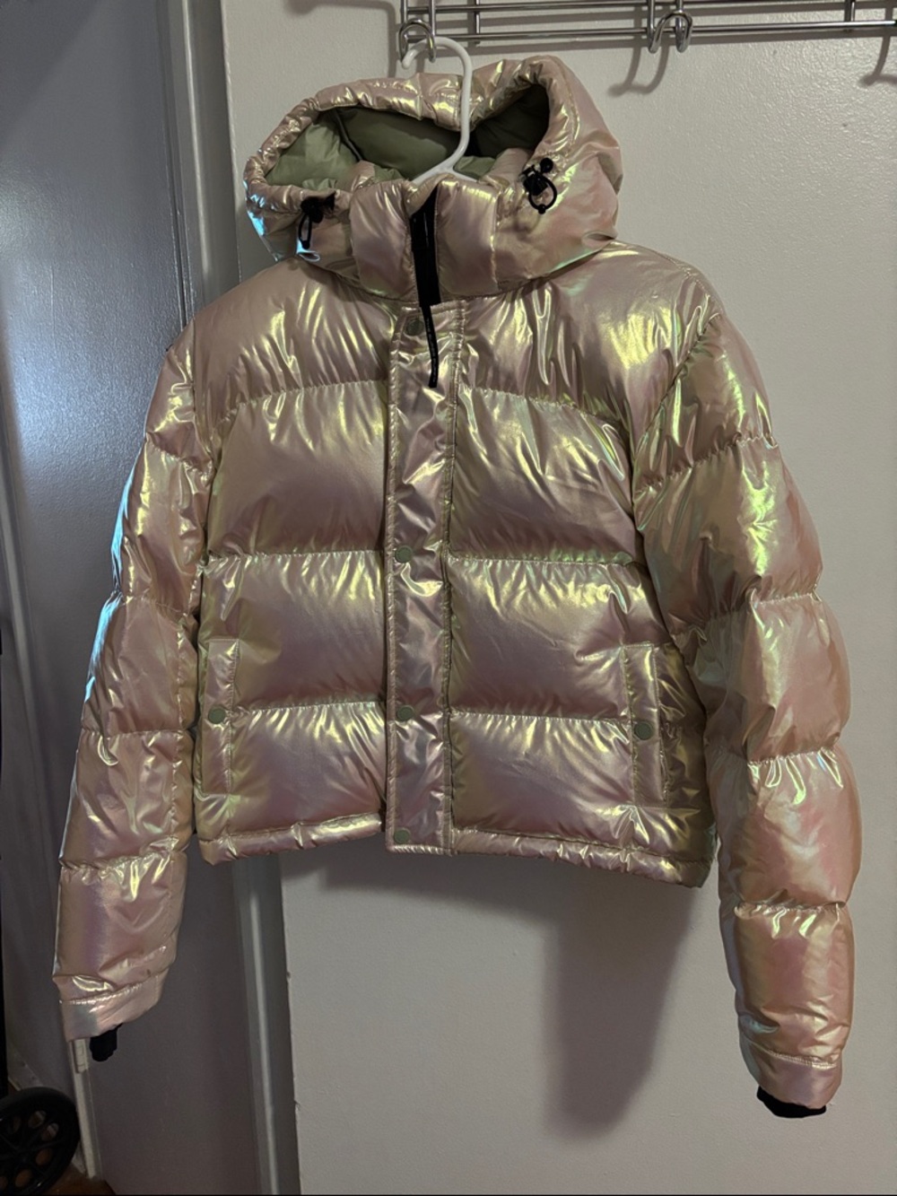 Super Puff Shorty XS Silver Birch Iridescent Coat Aritzia Rare Color
